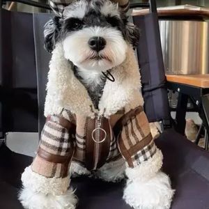 2xHP✨Beautiful and Fashionable Winter Dog Coat in XL